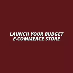 how to launch an e-commerce store on a budget