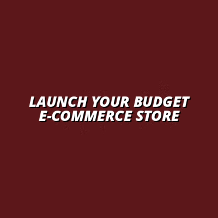 how to launch an e-commerce store on a budget