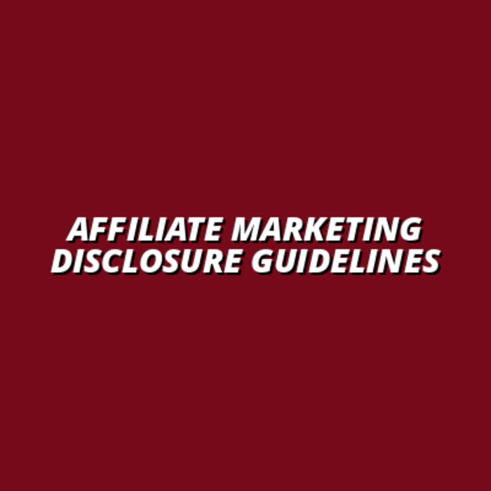 best practices for affiliate marketing disclosures